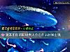 《测本年你的职场贵人会在什么时候出现》测试