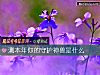 《测本年你的守护神兽是什么》测试