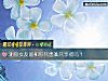 《测你<i>女友</i>能和你共患难共享福吗？》测试