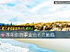 《本年你的事业会不会触礁》测试