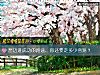 《想迈进成功的路途，你还要走多少弯路？》测试