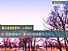 《测婚姻缘份 测试你的婚姻是否长久》测试