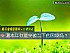 《测<i>本年</i>你能突破当下的困境吗？》测试
