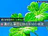 《测什么事会让你在职场中树敌》测试