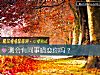 《测会有<i>同事</i>暗恋你吗？》测试