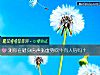 《测你在健身房声张虚势吹牛有人信吗？》测试