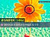 《测月光族的身份还会伴随你多少年》测试