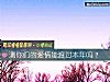 《测你们的<i>爱情</i>能渡过本年吗？》测试