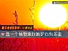 《选一个植物测你嫉妒心有多重》测试
