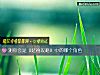 《测你会是《延禧攻略》中的哪个<i>角色</i>》测试