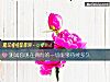 《测试你现在拥有的一切能够持续<i>多久</i>》测试