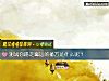 《测试你踢走霉运的秘方是什么呢？》测试
