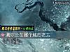 《测你会在哪个<i>城市</i>老去》测试