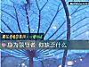 《身为领导者 你缺乏什么》测试
