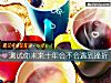 《测试你未来十年会不会<i>遇到</i>挫折》测试