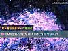 《感情里你会因为别人的反对而<i>分手</i>吗？》测试