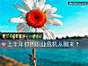 《上半年你的职业危机从哪来？》测试