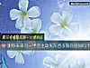 《测你未来<i>另一半</i>会主动买东西孝敬你爸妈吗？》测试