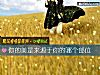 《你的美是来源于你的<i>哪个</i>部位》测试