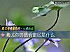 《测试你的感情雷区是什么》测试
