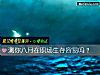 《测你八月在职场生存容易吗？》测试