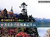 《本年你会在哪邂逅<i>幸运</i>》测试
