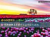 《免费测算<i>本年</i>的个人运势是吉是凶》测试
