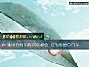《测试你<i>有没有</i>成名机会 成为明星的几率》测试