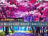 《哪只动物能逃走 测遭遇前任嘲讽你会<i>怎么办</i>》测试