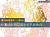 《测试你的兄弟会不会背叛你》测试