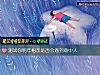 《测试你明年相亲是否会遇到意中人》测试