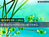 《测试冲动时的你在别人<i>眼中</i>的看法》测试