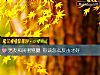 《<i>男友</i>和闺蜜劈腿 你该怎么反击才好》测试