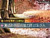 《测试你的反应能力胜过多少人》测试