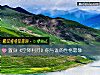 《置身《空降利刃》你与谁的性格最像》测试