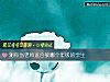 《测你当老师适合教哪个年级的学生》测试