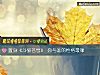 《置身《斗破苍穹》 你与谁的性格最像》测试