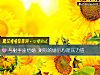 《与射手座结婚 测你的婚后心理压力值》测试