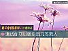 《测试你可以吸引到几等男人》测试