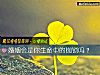 《婚姻会是你生命中的枷锁吗？》测试