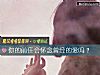 《你的前任会怀念曾经的爱吗？》测试