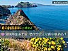《测试毕业多年后 老同学会主动跟你联系吗？》测试