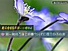《测一测对方身上的<i>哪个</i>闪光灯最合你的心意》测试