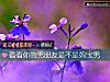 《看看你的男朋友是不是妈宝男》测试