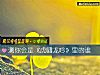《测你会是《虎啸龙吟》里的谁》测试