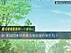 《测试同事的恶意竞争你能招架住吗？》测试