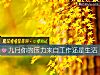 《九月你的压力来自工作还是<i>生活</i>》测试