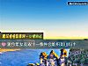 《测今年女友双十一快件会堆积如山吗？》测试