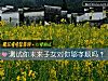 《测试你未来子女对你够孝顺吗？》测试