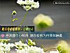 《<i>喜欢</i>哪个小鲜肉 测你爱情为何频频触礁》测试
